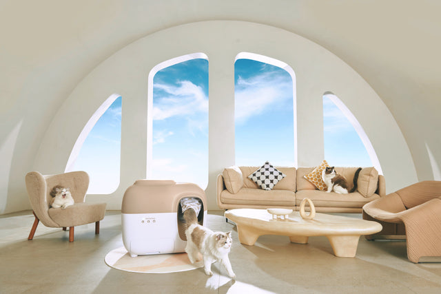 Exciting News: A New Way to Stay Connected with PetSnowy