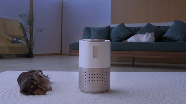 petsnowy air purifier for pets