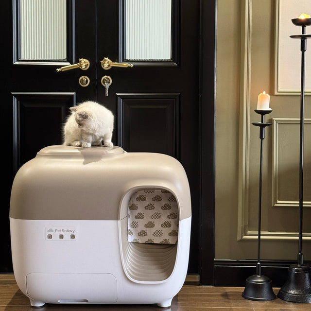 lettiera autopulente petsnowy in colore classico