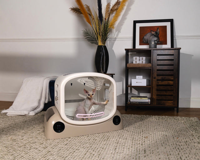 Come il box SMILE per l'asciugatura degli animali domestici protegge il comfort e la sicurezza del vostro animale.