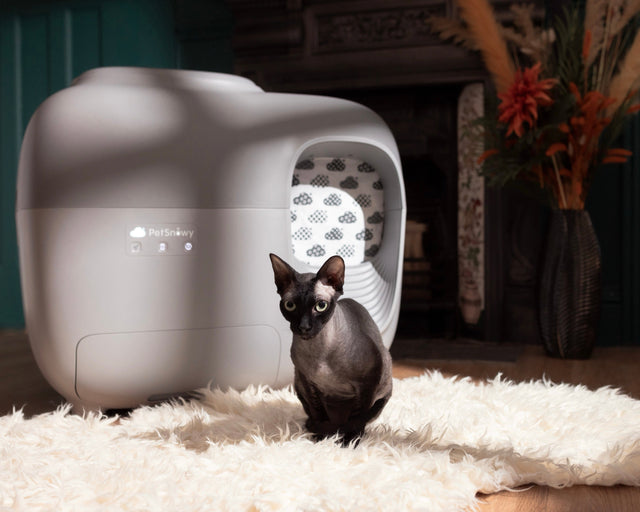 Wie funktioniert eine schaufellose Katzentoilette?