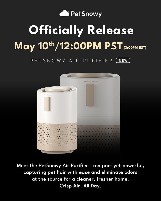 Le purificateur d'air PetSnowy est désormais officiellement disponible