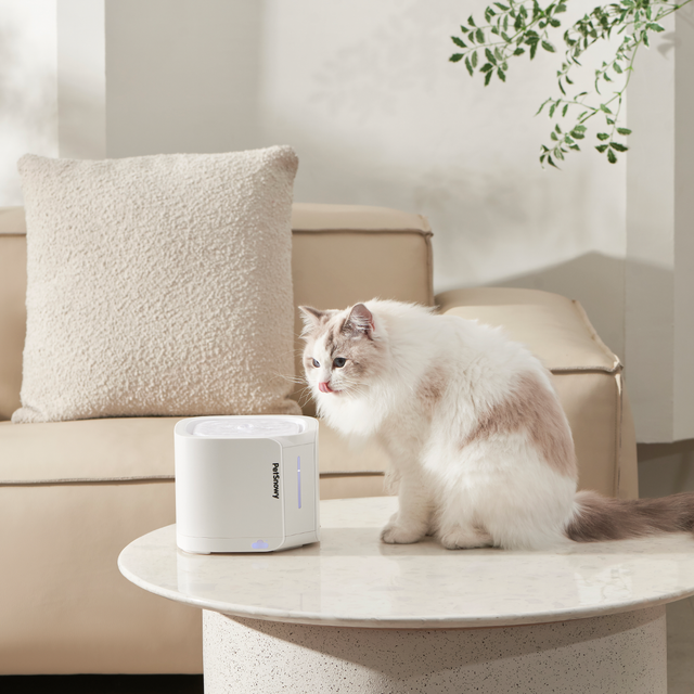 waterfountain-cream-mb-3-hero