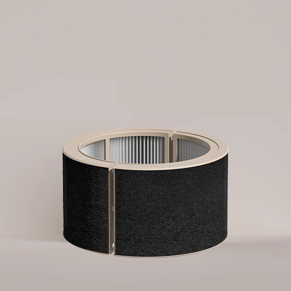 Filtro depuratore d'aria