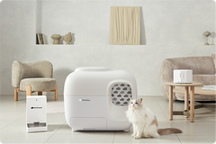 cat standing in front of a white litter box